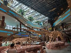 -安徽省地质博物馆