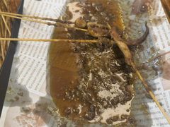 -十里铺铁板鱿鱼