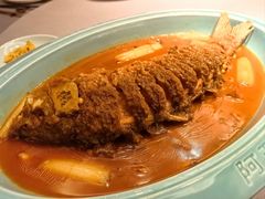 -阿五黄河大鲤鱼(英协路店)