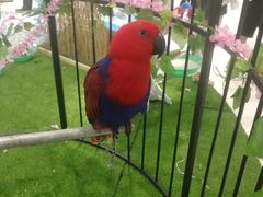 -万达广场(盐城盐都店)