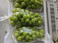 -马陆小张葡萄园农家乐