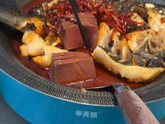 -半天妖烤鱼(西直门凯德mall店)