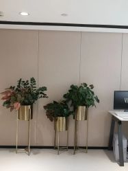 -广东韩妃整形外科医院