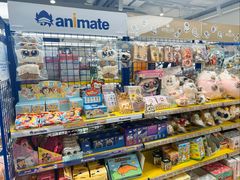 -animate(北京店)