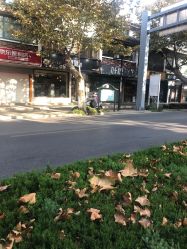 -红馆·发喆院