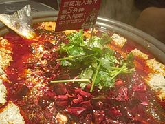 -师烤·豆花烤鱼(广州荔湾扬韬广场店)