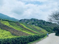 -呀诺达热带雨林