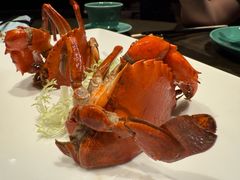 -福港轩·中餐厅(厦门香格里拉店)