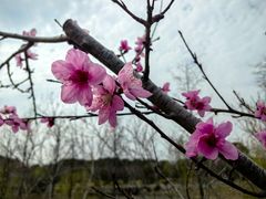 -狼山风景名胜区