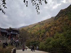 -小五台金河景区
