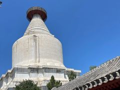 -华天延吉餐厅(西四总店)