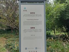 -采石矶景区