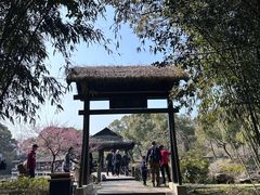 -兰亭风景区
