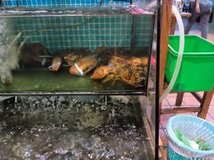 -范饭椰林川湘味海鲜·椰子鸡(三亚湾椰梦长廊店)