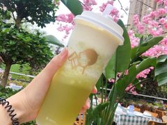 -靓靓蒸虾(中山里店)