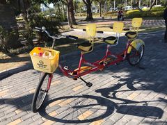 -黄金海岸环岛路