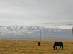 -祁连山草原