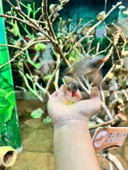 -Zoolung Zoolung动物主题公园(海信广场店)