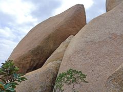 -那琴半岛地质海洋公园