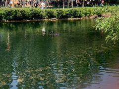 -长白岛森林公园