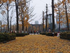 -两江幸福广场
