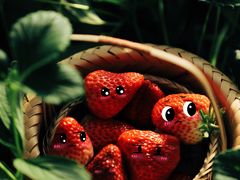 -昌平兴寿秀秀草莓采摘园