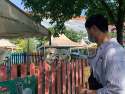 -萌宠亲子动物乐园(槐房万达店)