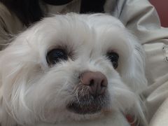-和它·交个朋友·狗咖猫咖(爱琴海店)