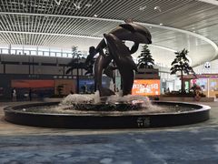 -青岛胶东国际机场