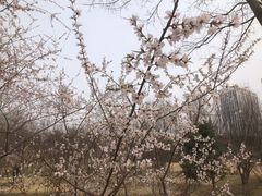 -滨河世纪广场公园