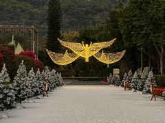 -东南花都花博园