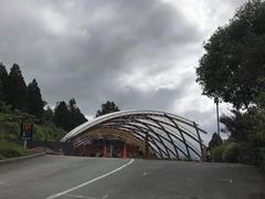 -怀托摩萤火虫洞