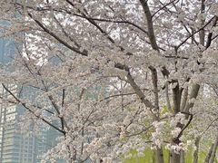 -西北湖绿化广场