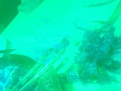 -喜虾客·大虾火锅(郑州无限城店)