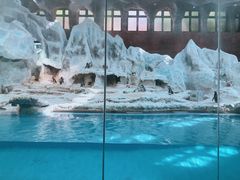 -帝企鹅自助餐厅•儿童岛•真企鹅(长隆企鹅酒店)