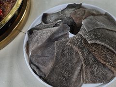 -二荆条·城市森林火锅旗舰店