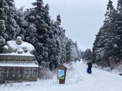 -武陵山森林公园