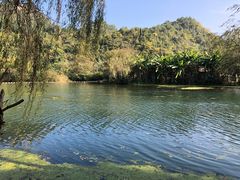 -贵阳市花溪国家城市湿地公园