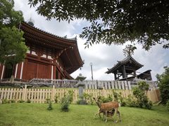 -奈良公园