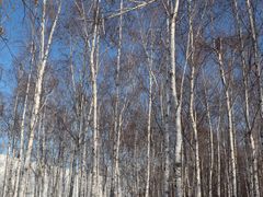 -长春市南湖公园