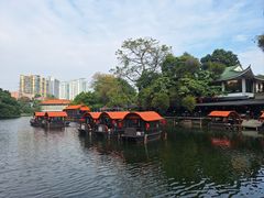 -侨美·唐荔园·40年地道粤菜