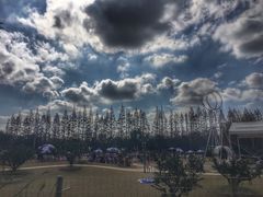 -上海长兴岛郊野公园