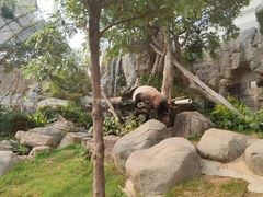 -香港海洋公园