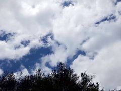 -罗田大别山峡谷漂流