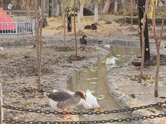 -水磨沟公园