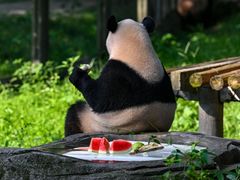 -重庆动物园·东二门售票处