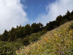 -白草畔自然风景区