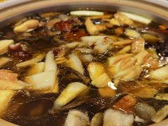 -爱膳菌锅锅(阳南店)