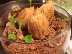 -广州柏悦酒店·悦景轩·粤菜餐厅