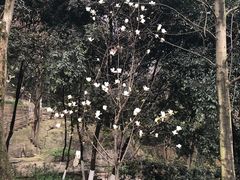 -百林公园-两江幸福广场